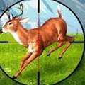 狙击普通的鹿手游