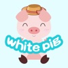 白猪app