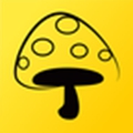 蘑菇丁周记app