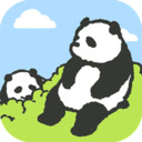 熊猫森林无广告